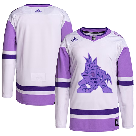 Men's Arizona Coyotes White/Purple Hockey Fights Cancer Primegreen Authentic Blank Practice jersey